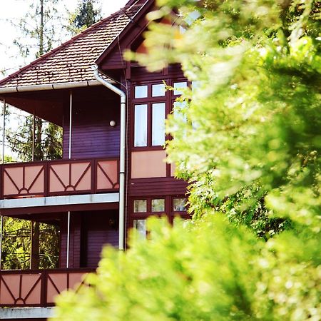 Ezuestfenyo Hotel Telkibánya エクステリア 写真